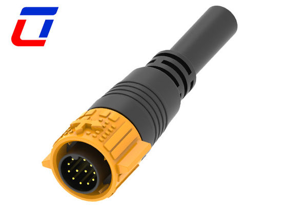 câble mâle 12 broches connecteur étanche fil à bord IP67 pour la transmission du signal
